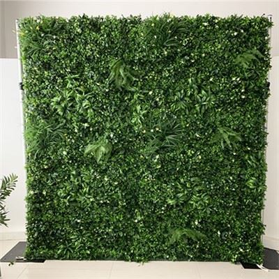 Žolės fonas su gėlėmis