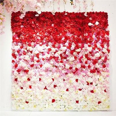 Raudonos rožės vestuvių fonas